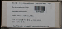 Image Associated With the Occurence